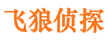 龙港侦探公司